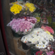 Image for article titled Sony a6000 Review: A Solid Mirrorless Camera That's a Small Step Up